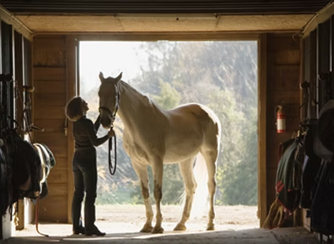 women horse